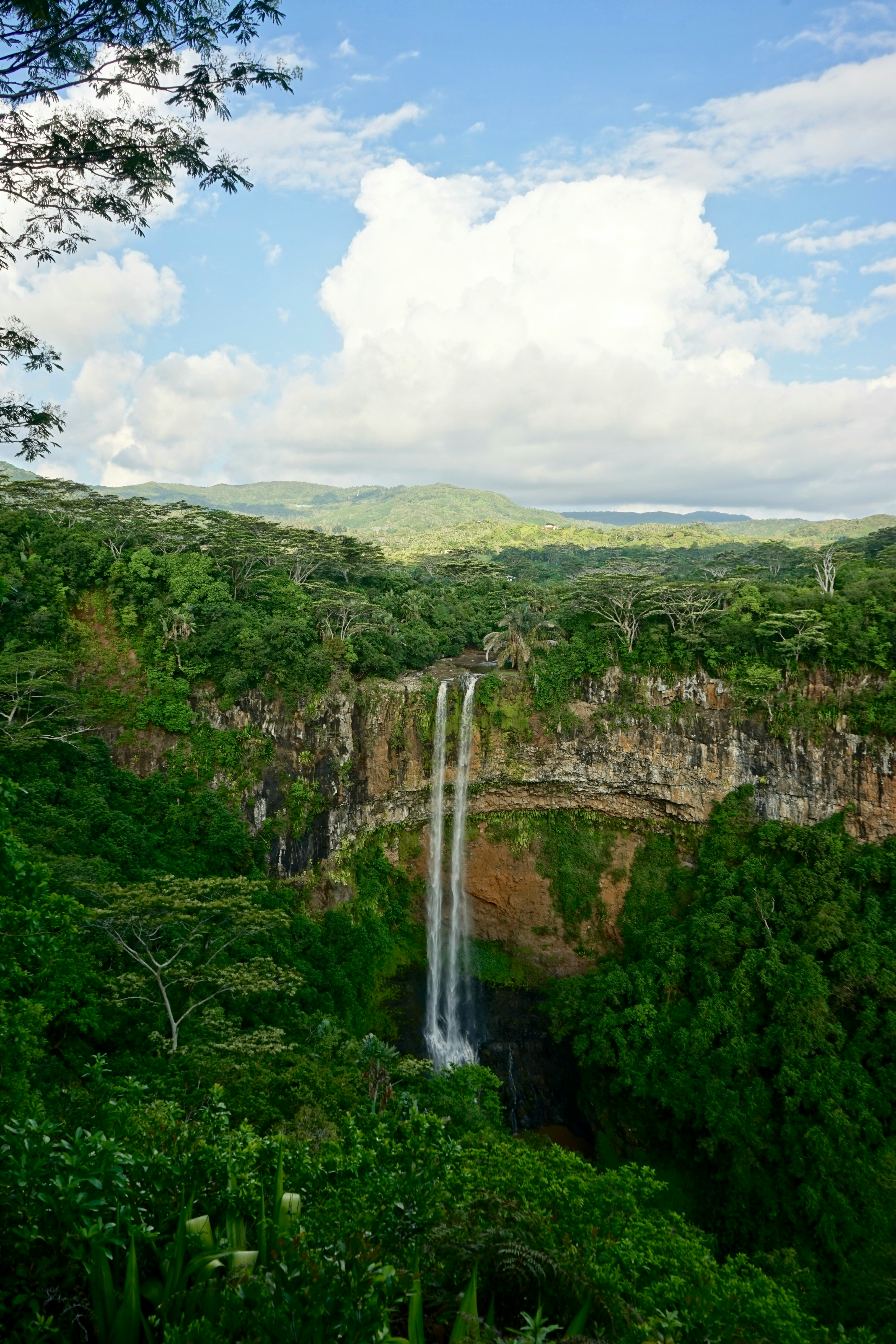 Tour Fosa – Aventure Faune