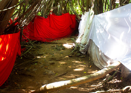 PHOTO SITE_0012_01