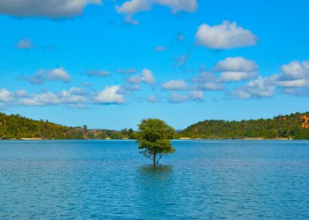 IMG_2120-450x320_0000__DSC6050-min