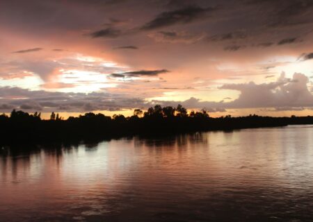 IMG_2120-450x320_0001_IMG_2681-min