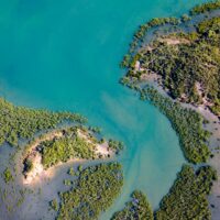 IMG_2120-450x320_0007_DJI_0883-min